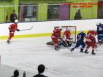 Photo hockey match France - Poland le 08/11/2013