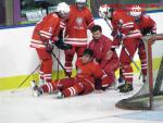 Photo hockey match France - Poland le 08/11/2013