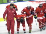 Photo hockey match France - Poland le 08/11/2013
