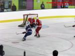Photo hockey match France - Poland le 08/11/2013