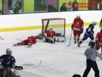 Photo hockey match France - Poland le 08/11/2013