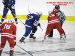 Photo hockey match France - Poland le 08/11/2013