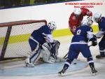 Photo hockey match France - Poland le 08/11/2013