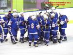 Photo hockey match France - Poland le 08/11/2013