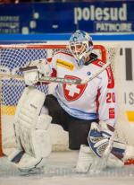 Photo hockey match France - Switzerland le 24/04/2015