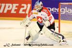 Photo hockey match France - Switzerland le 24/04/2015
