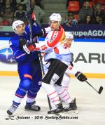 Photo hockey match France - Switzerland le 24/04/2015