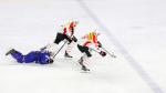 Photo hockey match France - Switzerland le 09/04/2017