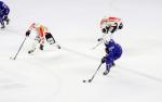 Photo hockey match France - Switzerland le 09/04/2017