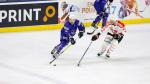 Photo hockey match France - Switzerland le 09/04/2017