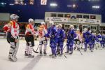 Photo hockey match France - Switzerland le 08/04/2017