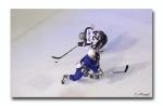 Photo hockey match France U20 - Grenoble  le 06/10/2010