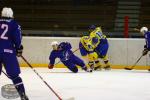 Photo hockey match France U20 - Ukraine le 12/12/2015