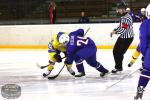 Photo hockey match France U20 - Ukraine le 12/12/2015