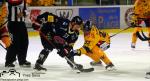Photo hockey match Fribourg - Rauma le 29/08/2019