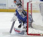 Photo hockey match Gap  - Bordeaux le 11/11/2016