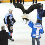 Photo hockey match Gap  - Brianon  le 17/01/2015