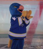 Photo hockey match Gap  - Rouen le 24/11/2012