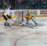 Photo hockey match Gap  - Strasbourg  le 03/10/2015