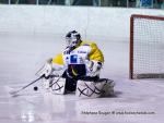 Photo hockey match Gap  - Strasbourg  le 15/03/2011