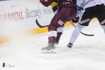 Photo hockey match Genve - Fribourg le 22/11/2019