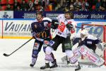 Photo hockey match Grenoble  - Amiens  le 21/01/2014