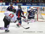 Photo hockey match Grenoble  - Amiens  le 21/01/2014