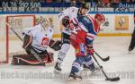 Photo hockey match Grenoble  - Amiens  le 09/10/2016