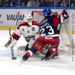 Photo hockey match Grenoble  - Amiens  le 20/01/2026