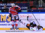 Photo hockey match Grenoble  - Amiens  le 19/12/2012