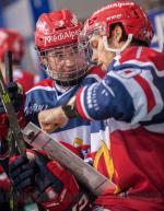 Photo hockey match Grenoble  - Angers  le 14/02/2017