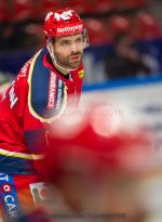 Photo hockey match Grenoble  - Angers  le 11/01/2019