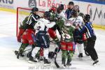 Photo hockey match Grenoble  - Angers  le 30/11/2025