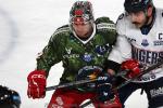 Photo hockey match Grenoble  - Angers  le 30/11/2025