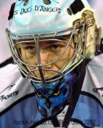 Photo hockey match Grenoble  - Angers  le 17/02/2012