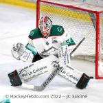 Photo hockey match Grenoble  - Anglet le 13/01/2023