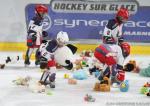 Photo hockey match Grenoble  - Anglet le 26/11/2023