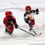 Photo hockey match Grenoble  - Anglet le 26/11/2023