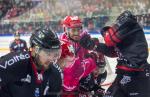 Photo hockey match Grenoble  - Bordeaux le 12/10/2018