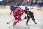 Photo hockey match Grenoble  - Bordeaux le 12/10/2018