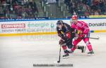 Photo hockey match Grenoble  - Bordeaux le 12/10/2018