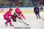 Photo hockey match Grenoble  - Bordeaux le 12/10/2018