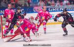 Photo hockey match Grenoble  - Bordeaux le 12/10/2018