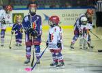 Photo hockey match Grenoble  - Bordeaux le 17/11/2019