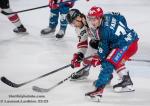 Photo hockey match Grenoble  - Bordeaux le 25/10/2022