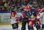 Photo hockey match Grenoble  - Bordeaux le 26/03/2024