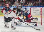 Photo hockey match Grenoble  - Bordeaux le 26/03/2024