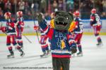 Photo hockey match Grenoble  - Bordeaux le 27/03/2024