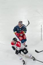 Photo hockey match Grenoble  - Bordeaux le 27/01/2026