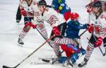 Photo hockey match Grenoble  - Brianon  le 25/11/2022